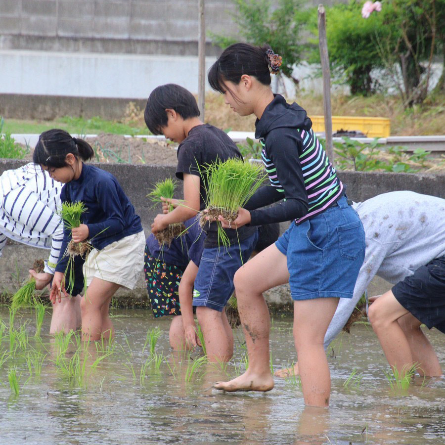 あさひ農園の取り組み